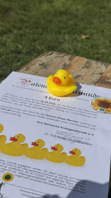 🌻🏆 Wir haben den 3. Platz gewonnen! 🏆🌻